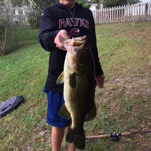 Meet your Posher, Colby