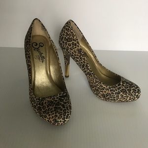 Seychelles Women's Leopard print Shoes