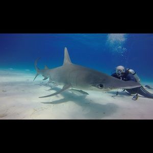 Meet your Posher, Nathan