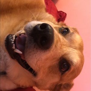 Meet your Posher, Mackenzie