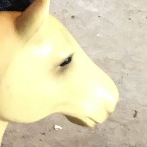 Meet your Posher, Jenny