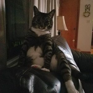 Meet your Posher, Paula