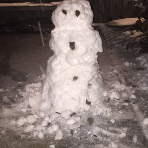 Meet your Posher, Riley