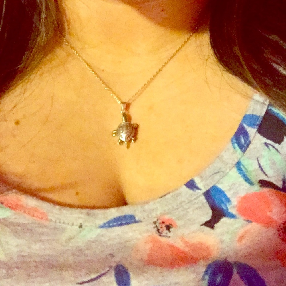 16" silver turtle necklace