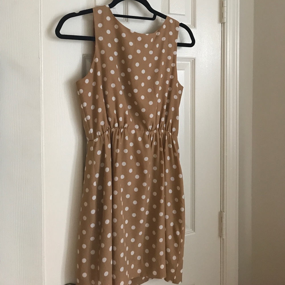 J crew factory polka for dress