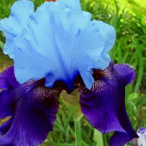 Meet your Posher, Krystal