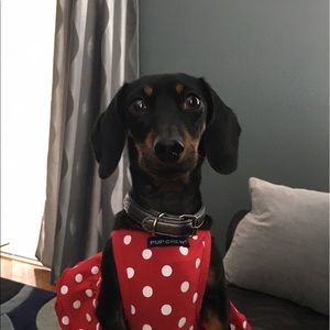 Meet your Posher, Danielle