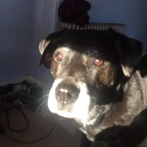 Meet your Posher, Kathy