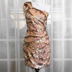 City Triangles Nude/Gold Sequin OneShoulder Dress