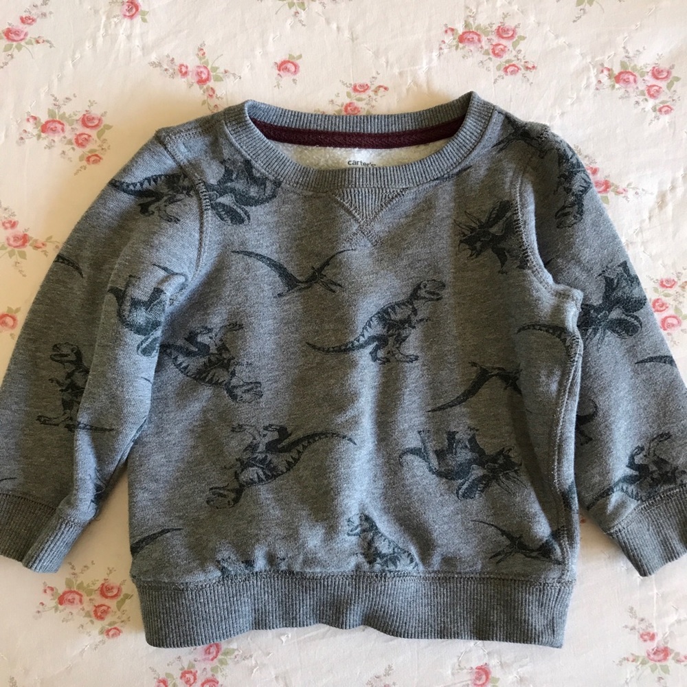 Dinosaur Sweater