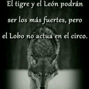 Meet your Posher, Feriha