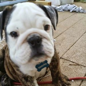 Meet your Posher, Roxanne