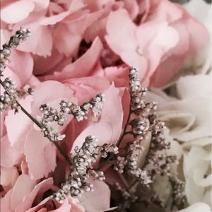 Meet your Posher, Amelia