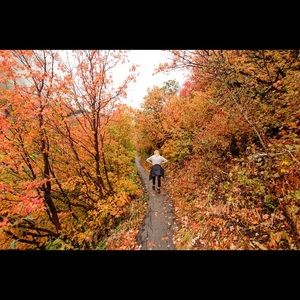 Meet your Posher, Josie