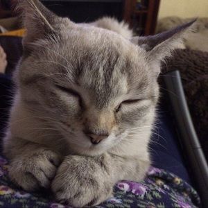 Meet your Posher, Melody