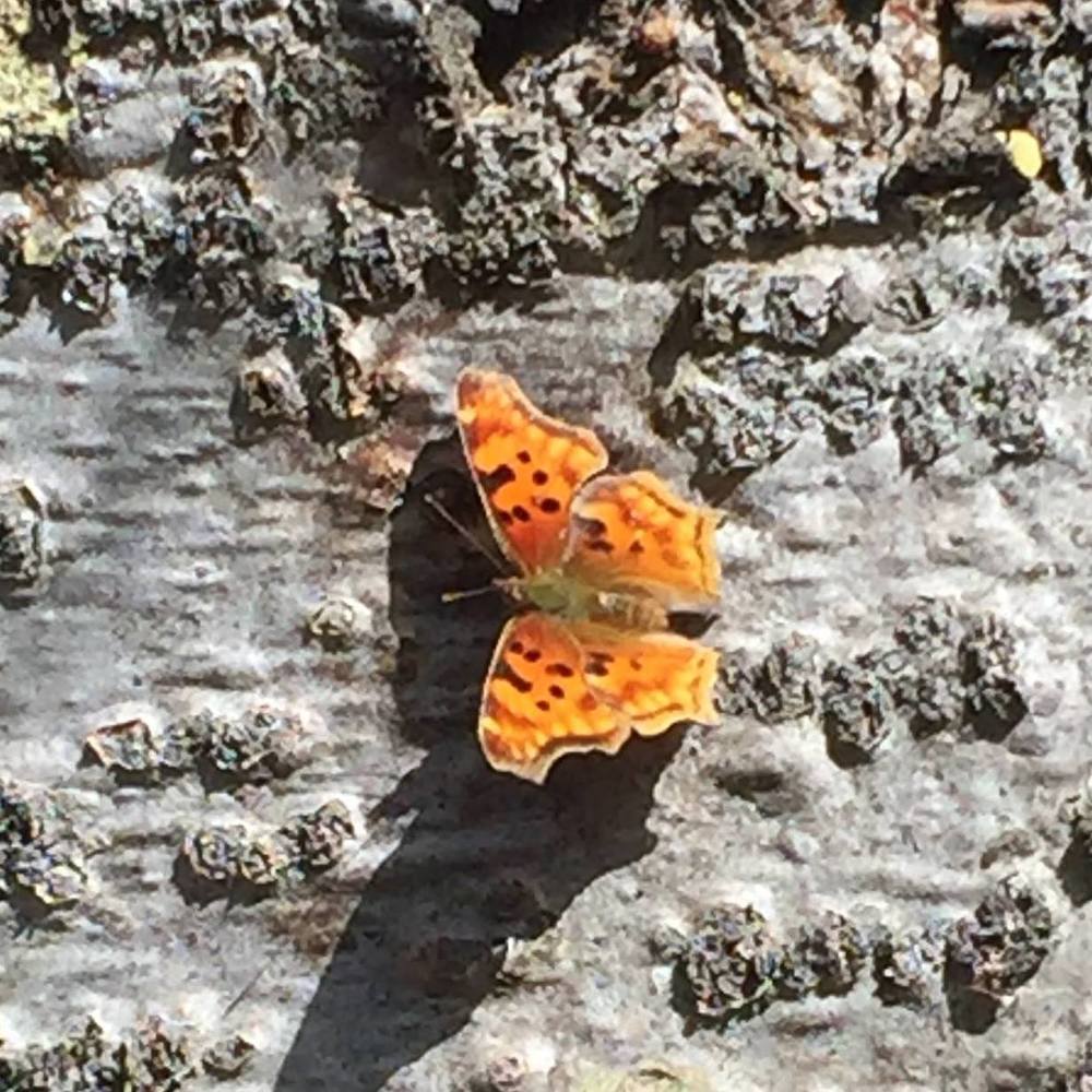 Meet your Posher, Robyn