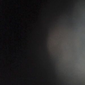 Meet your Posher, Giselle