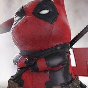 Meet your Posher, Seth