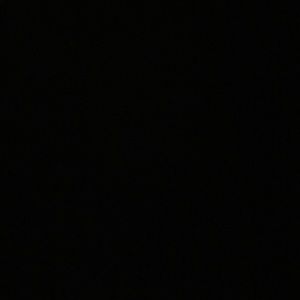 Meet your Posher, Lizzy