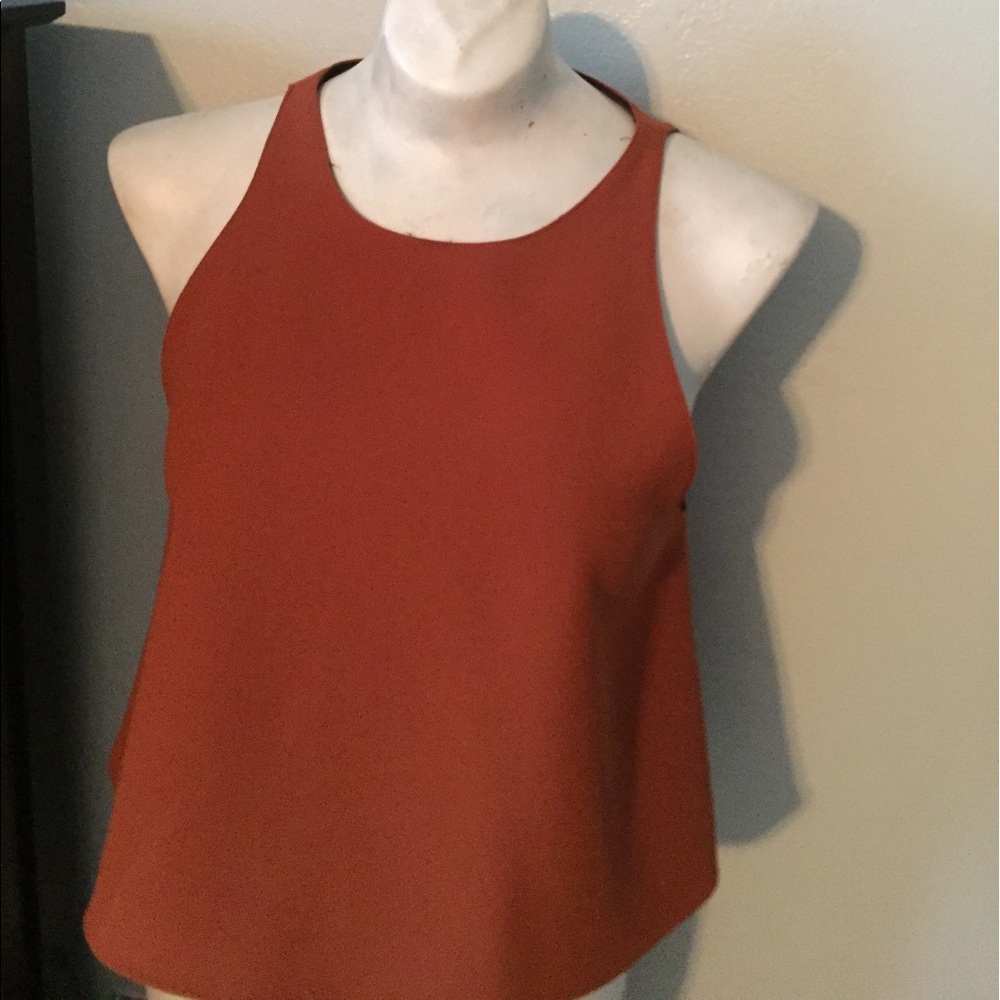 Zara crop top