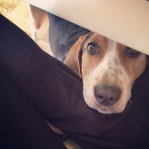 Meet your Posher, Kathleen