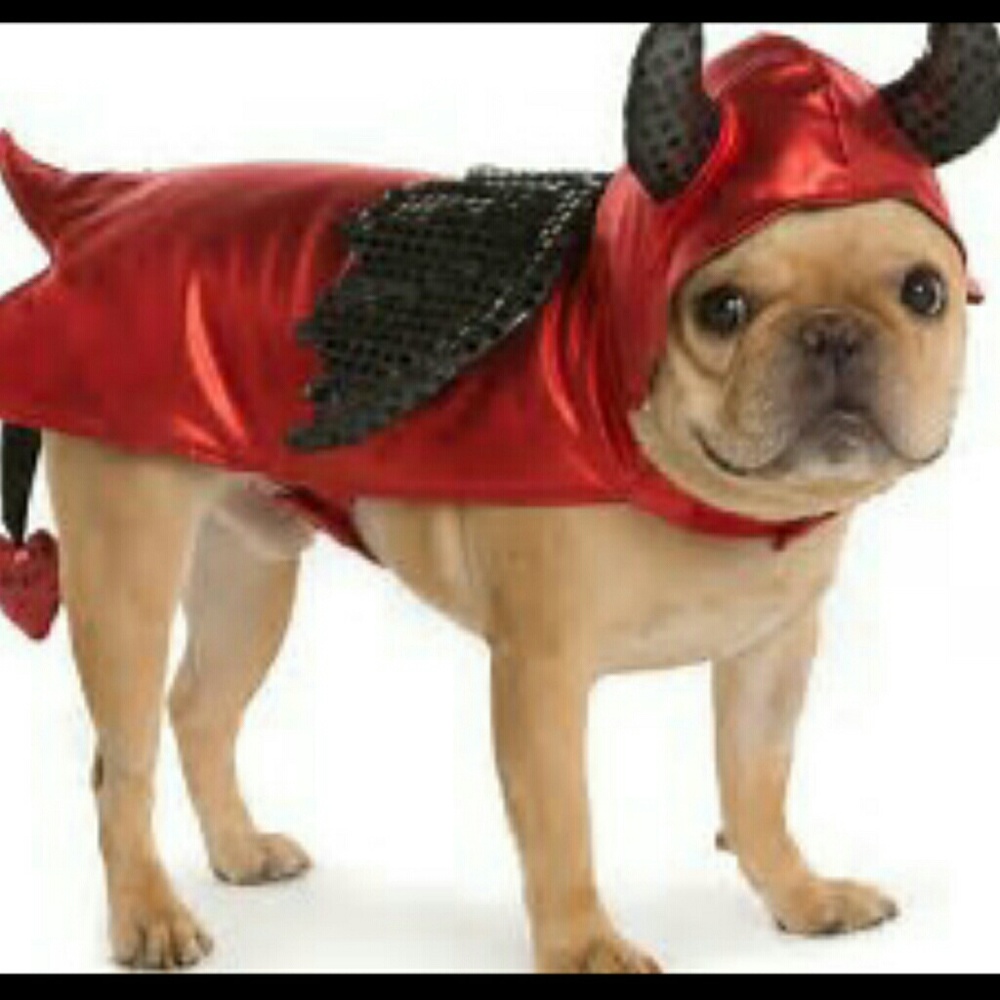 Devil Costume