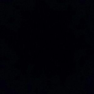 Meet your Posher, Devin