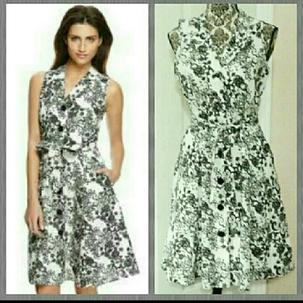 MLL GABRIELLE Collared Shirt  Dress With Belt