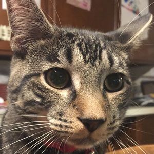 Meet your Posher, John