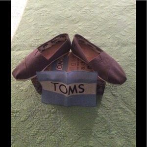 NIB Toms Classics Ash Canvas size 5.5
