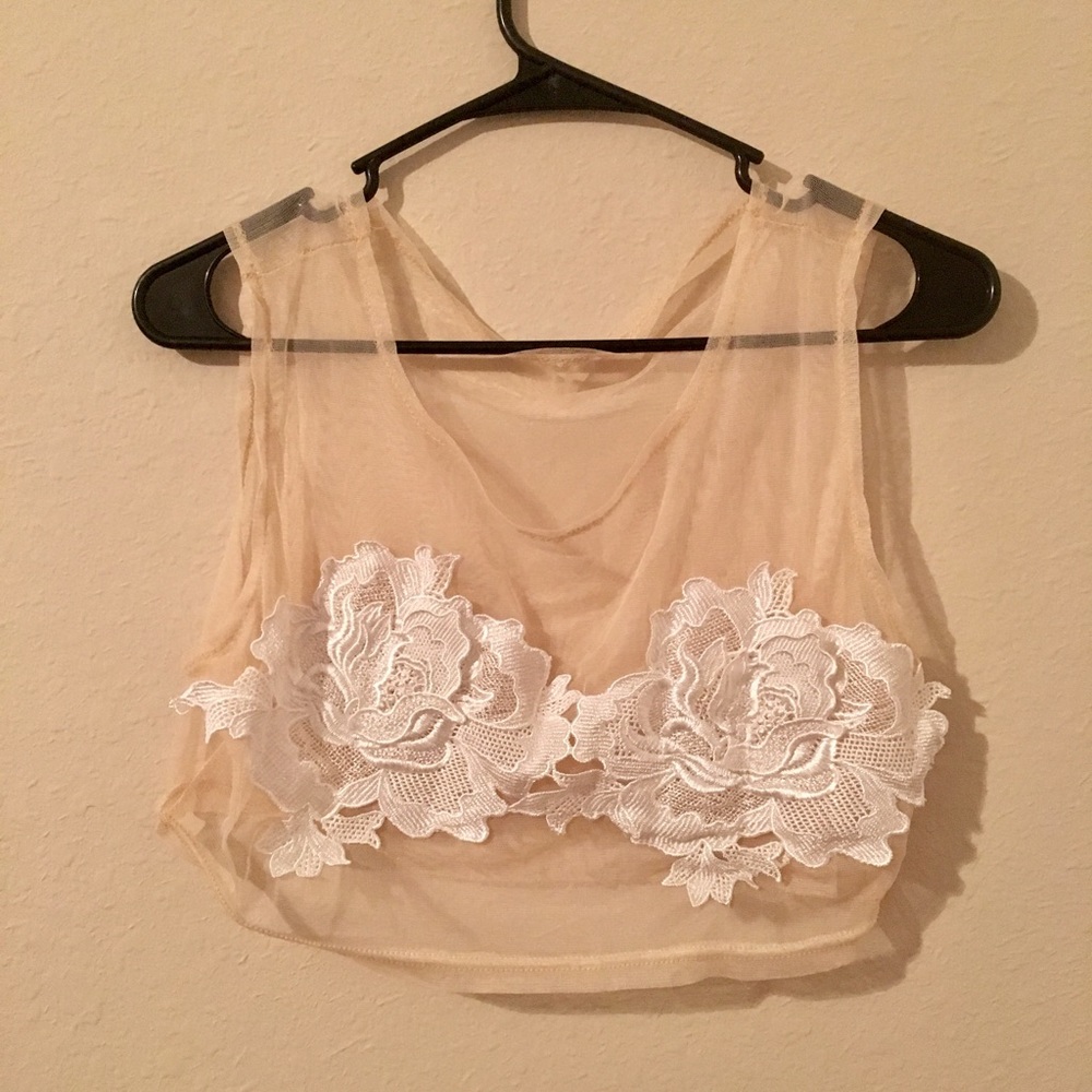 Embroidered Lace Nude Crop top