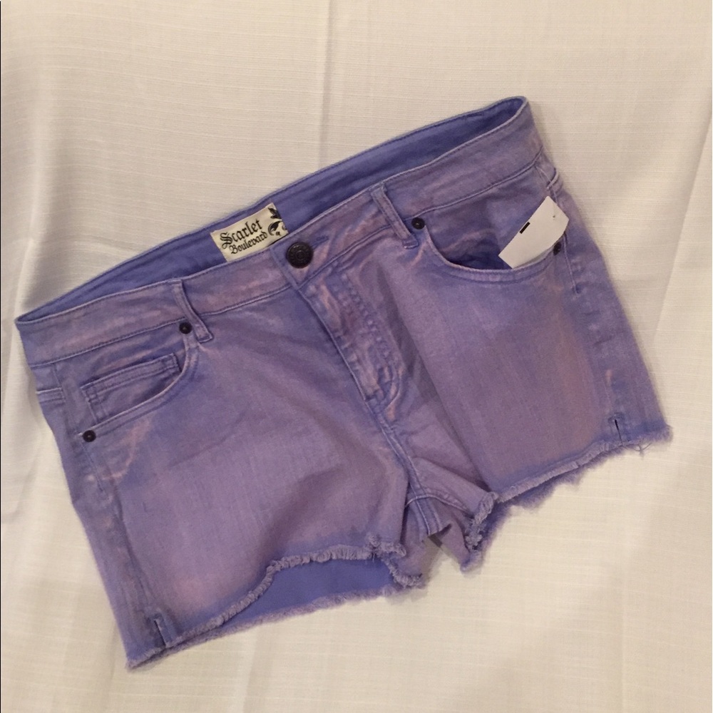 NWT Scarlet Boulevard Faded Shorts💥LAST ONE💥