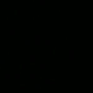 Meet your Posher, Anne