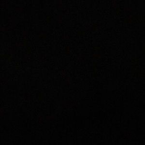 Meet your Posher, Claudia