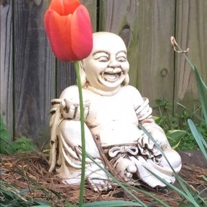 Meet your Posher, Terri