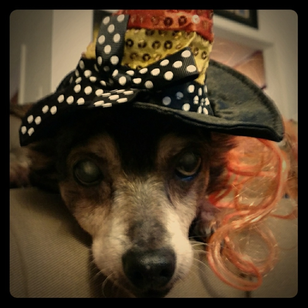 Meet your Posher, Lindsay