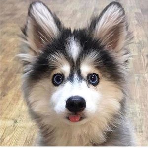 Meet your Posher, Camila