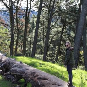 Meet your Posher, Beth