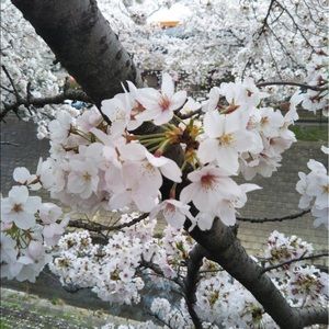 Meet your Posher, Shinhye