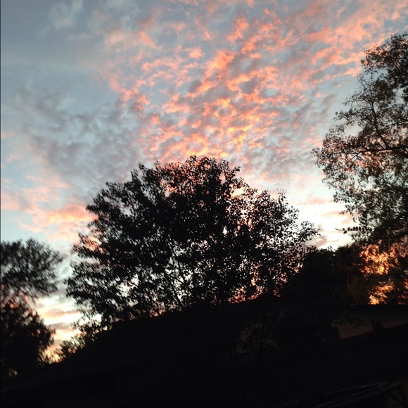 Meet your Posher, Abby - Picture 1 of 1