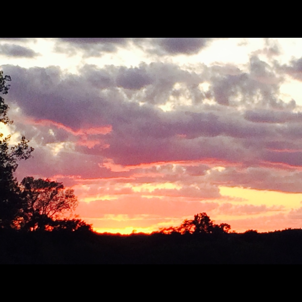 Meet your Posher, Kortney