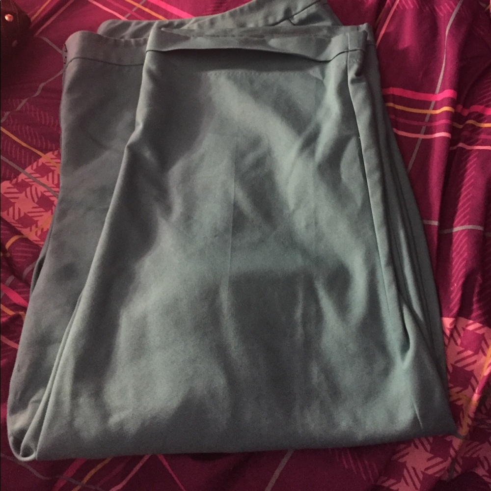 Lane Bryant Dress Pants (size 28) teal