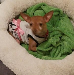 Meet your Posher, Dee