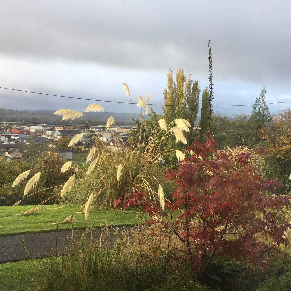 Meet your Posher, Kristine