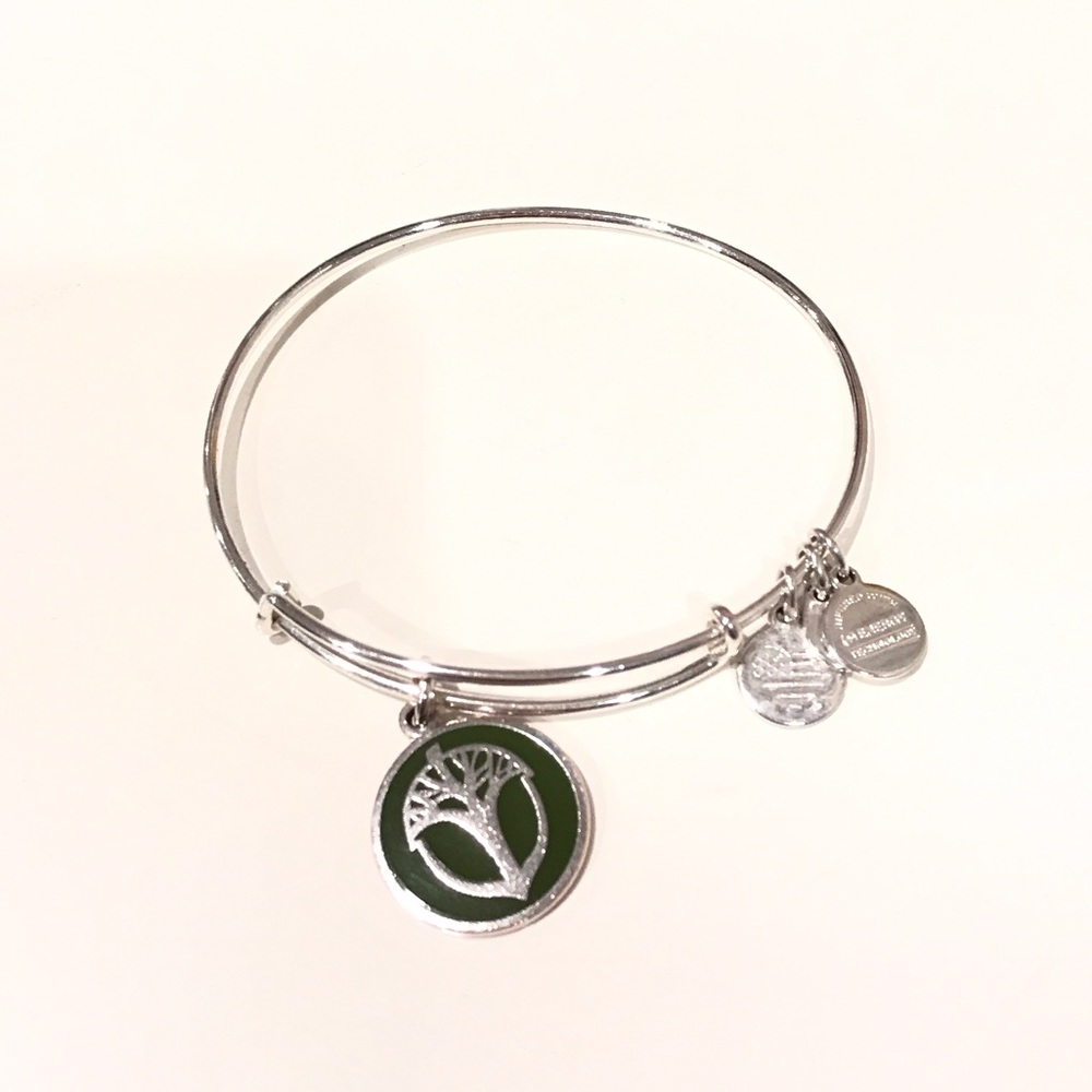 Alex and Ani Unexpected Miracles Enamel Bracelet