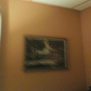 Meet your Posher, Brenda  li?htefeld