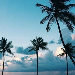 Meet your Posher, Haylee