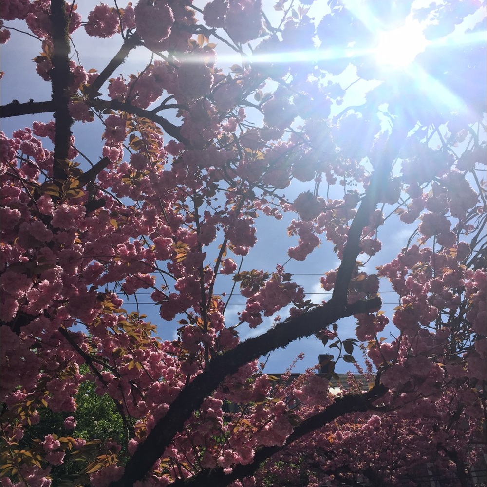 Meet your Posher, Meegan