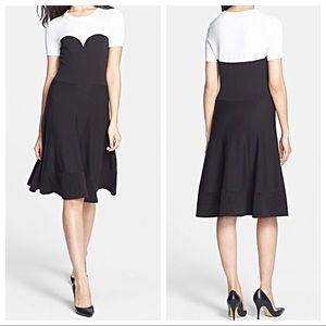 NWT Kate Spade Colorblock Sweater Dress