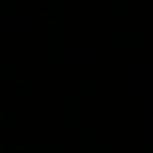 Meet your Posher, Annette